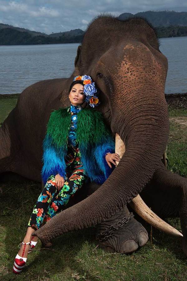 HHen Niê diện trang phục rực rỡ sắc màu, tạo dáng bên voi Tây Nguyên-5