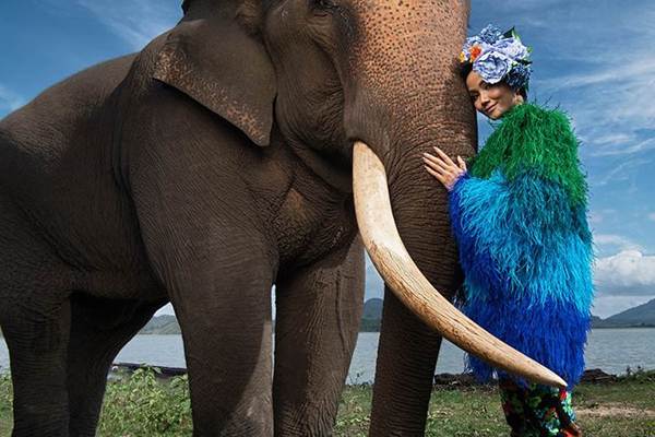 HHen Niê diện trang phục rực rỡ sắc màu, tạo dáng bên voi Tây Nguyên-6