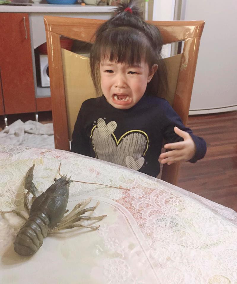 Mẹ trẻ dùng tôm để xử lý con nghịch ngợm, dân mạng phì cười vì hài hước nhưng cũng không quên thắc mắc điều này-2