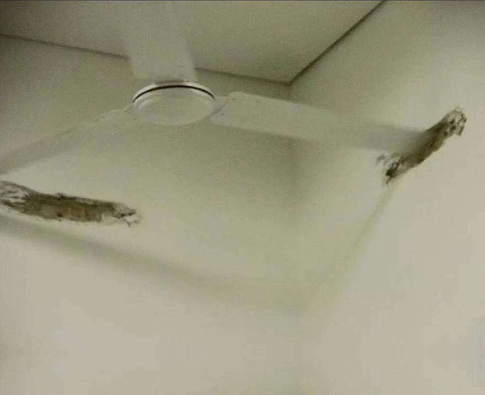 Những công trình thế kỷ khiến kỹ sư bậc thầy cũng thấy sợ hãi-13