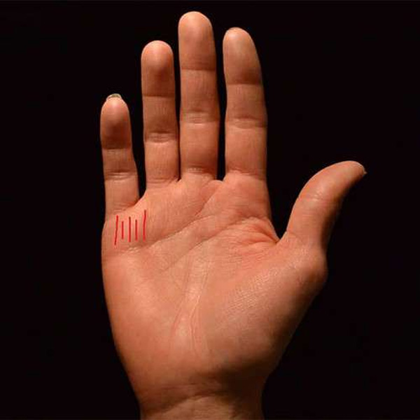6 dấu hiệu TƯỚNG HỌC chỉ xuất hiện ở bàn tay người phụ nữ mang MỆNH PHƯỢNG HOÀNG, không giàu sang cũng phú quý-1