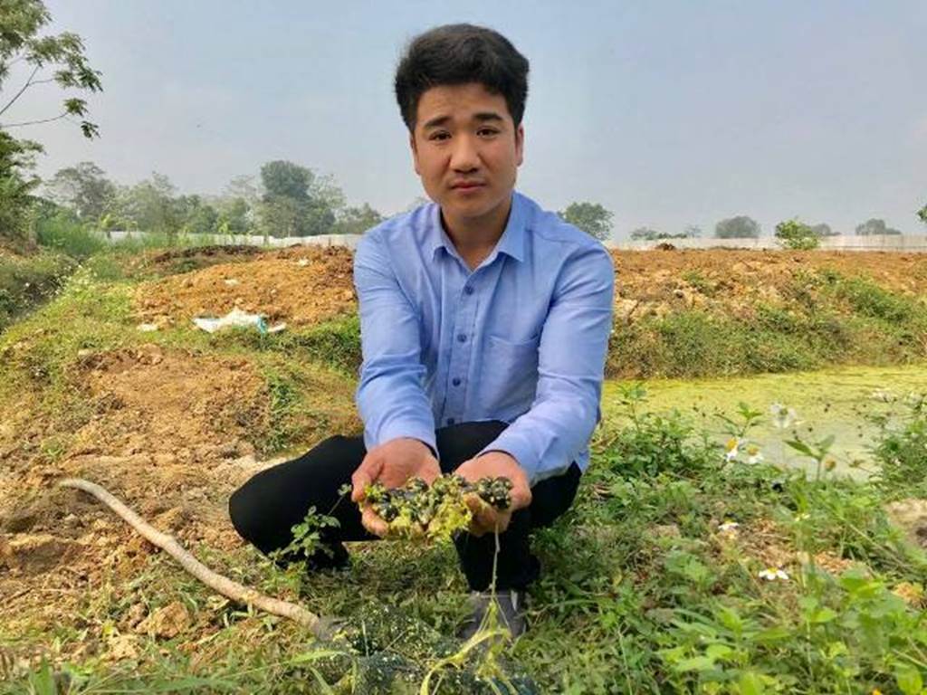 Hotboy 9X nuôi con siêu đẻ chỉ ăn bèo, lá cây mà kiếm 300 triệu/năm-1