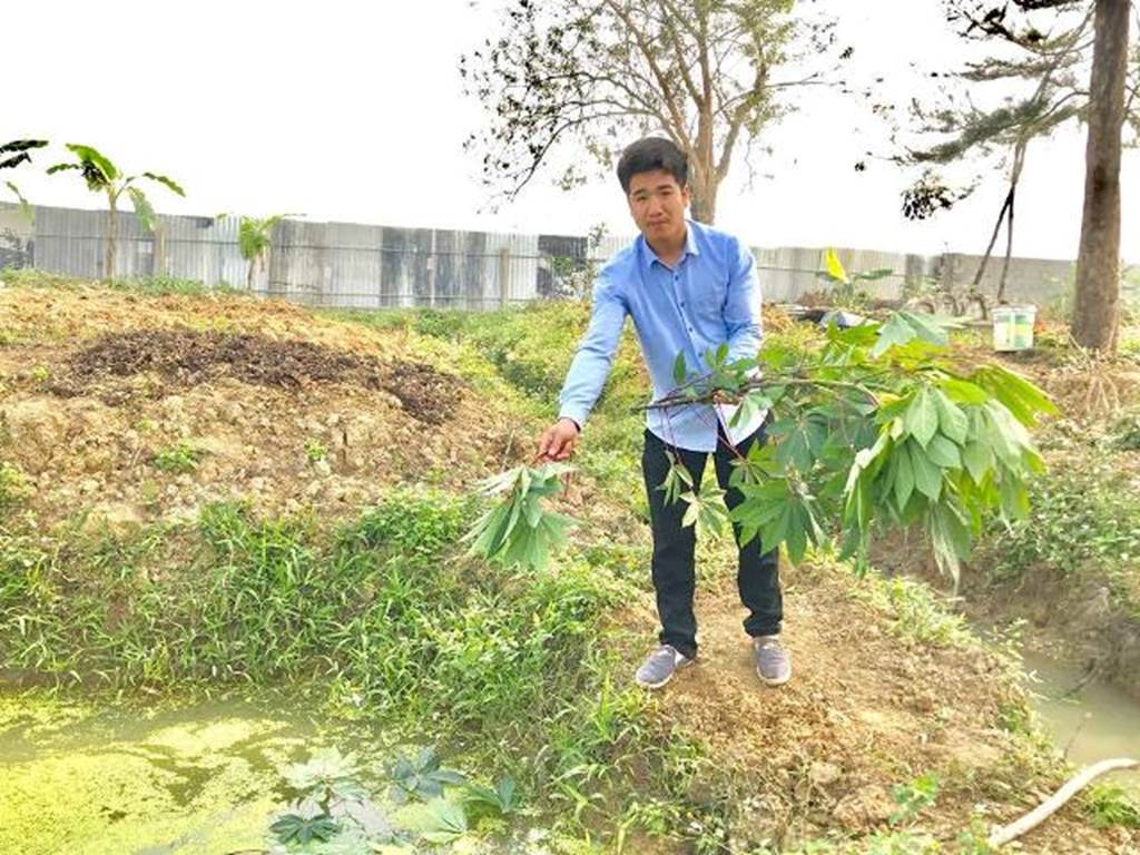 Hotboy 9X nuôi con siêu đẻ chỉ ăn bèo, lá cây mà kiếm 300 triệu/năm-4