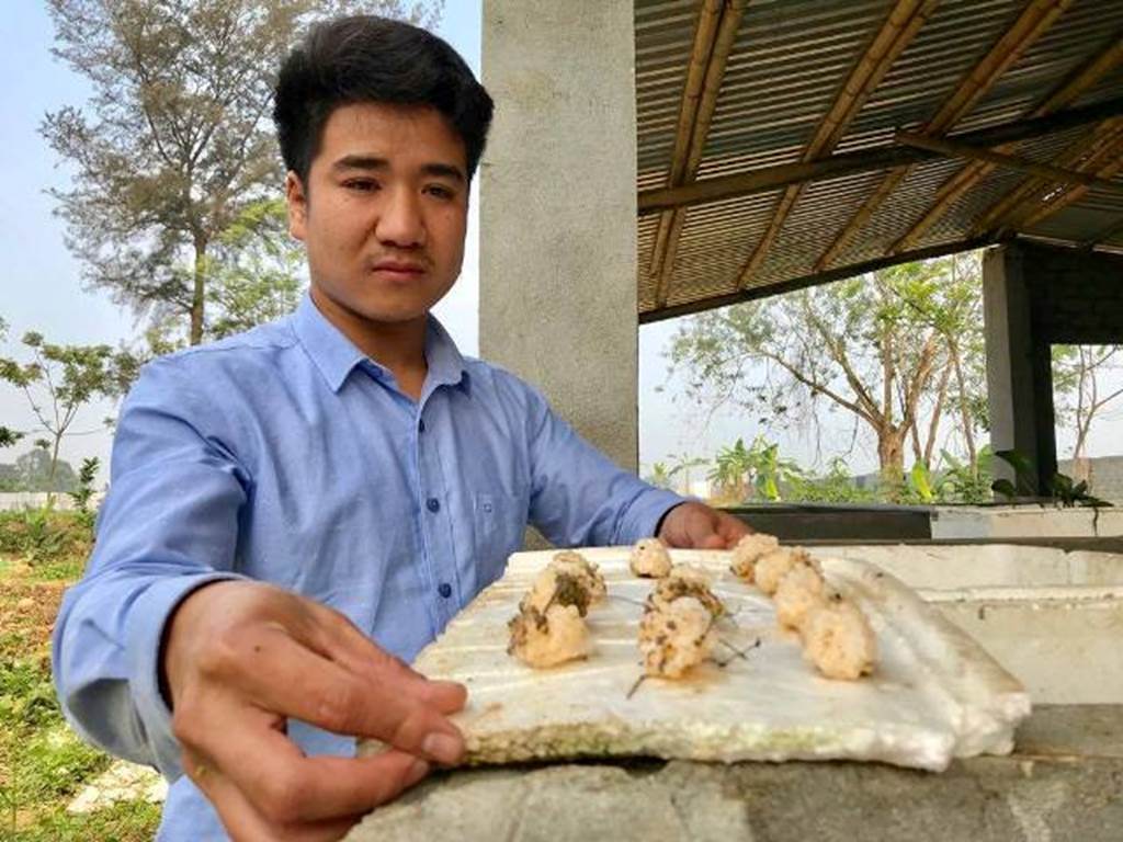 Hotboy 9X nuôi con siêu đẻ chỉ ăn bèo, lá cây mà kiếm 300 triệu/năm-6