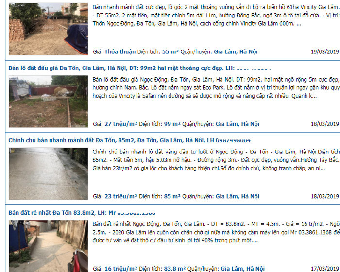 Cơn sốt phía Đông: Đất Trâu Quỳ - Gia Lâm 150 triệu/m2, tin được không-1