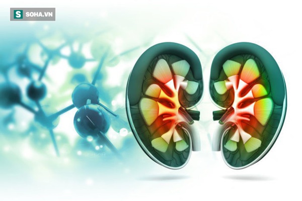 BS cảnh báo: Tỉ lệ mắc bệnh thận mãn tính có xu hướng tăng cao, 4 nhóm người nên đi khám-1
