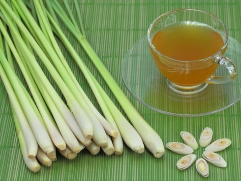 Đông y gọi sả là 
