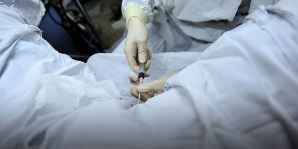 Nữ sinh đại học kể chuyện 2 lần bán trứng cho chợ đen, nhận về hơn 200 triệu đồng-3