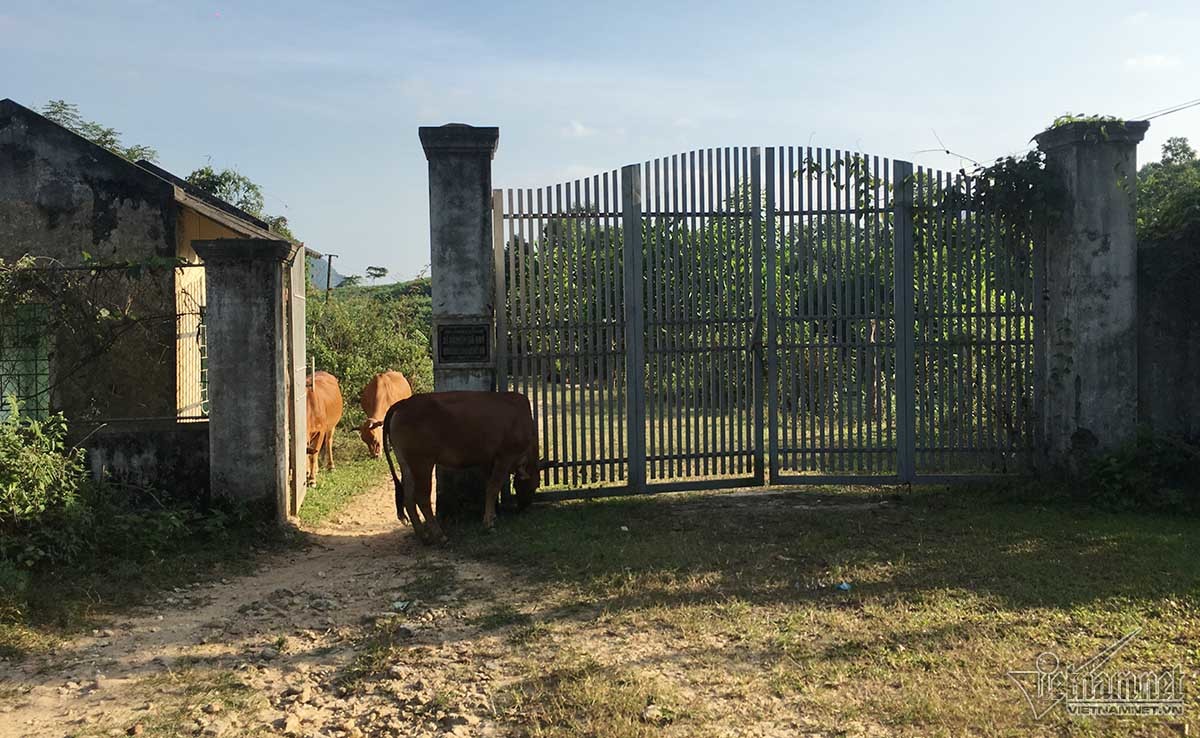 Đại gia đá đỏ đếm tiền cả ngày không hết giờ ra sao?-2