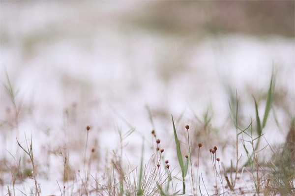 Cuối tuần thử dắt người yêu đi trốn ở Quan Lạn, ai mà ngờ vừa rẻ vừa vui thế này cơ chứ!-10