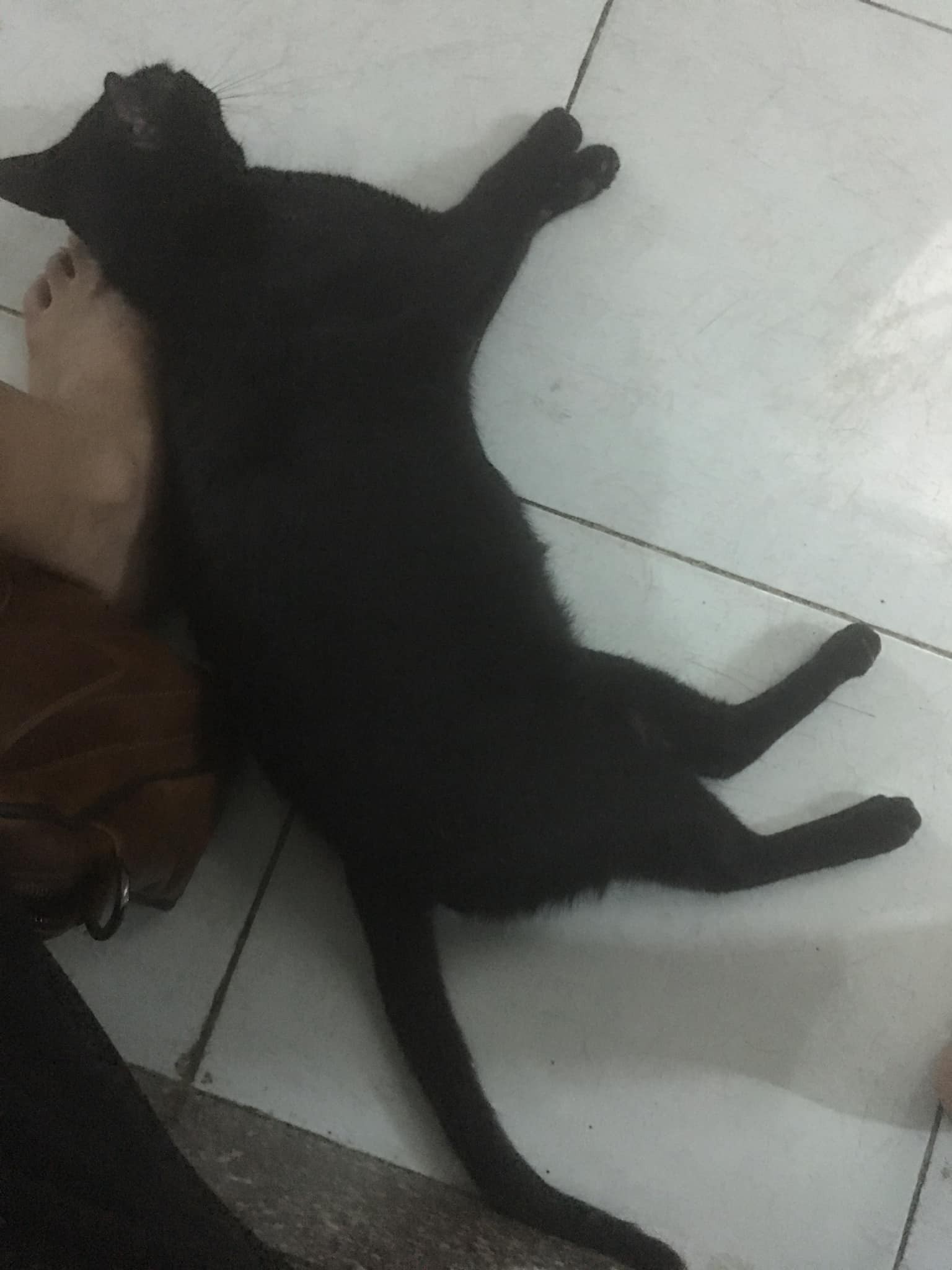 Con gái đi du học, mẹ không tiễn còn quát mày đi luôn đi nhưng con vừa đi khỏi lại lặng lẽ ngồi khóc một mình-4