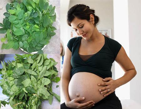 Rau ngót vẫn ăn hàng ngày nhưng có những tác hại thót tim không ai ngờ tới-2