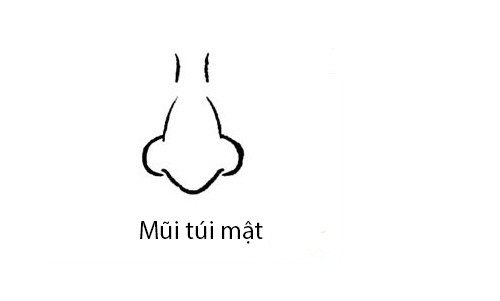 Phụ nữ sở hữu 3 tướng mũi này thì cả đời không lo cơm áo gạo tiền, hậu vận không những giàu có mà còn sung túc viên mãn-2