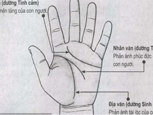 5 dấu hiệu tướng học chỉ xuất hiện ở bàn tay của người phụ nữ giàu sang số sướng, hậu vận an nhàn-3