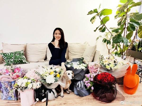 Hoa hậu thế giới Trương Tử Lâm xinh đẹp rạng ngời đón tuổi 35-3