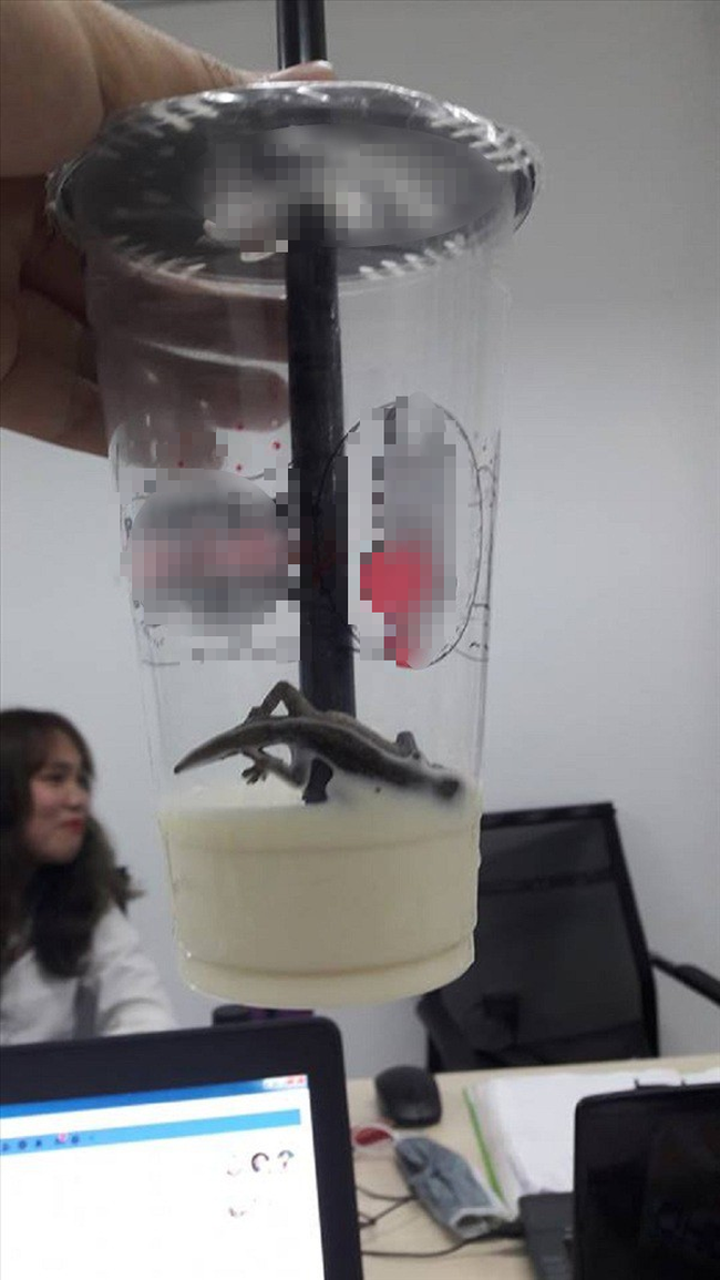Hà Nội: Khách hàng hãi hùng tố có thạch sùng trong cốc trà sữa-1