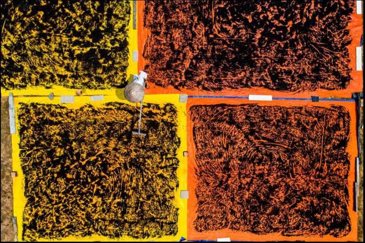 Việt Nam đẹp nghẹt thở qua ống kính nhiếp ảnh gia Mỹ-10