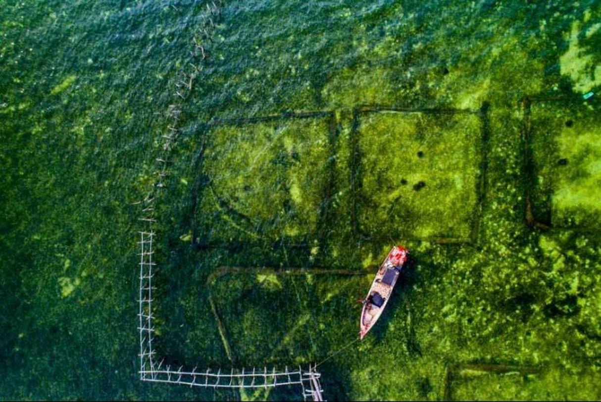 Việt Nam đẹp nghẹt thở qua ống kính nhiếp ảnh gia Mỹ-2