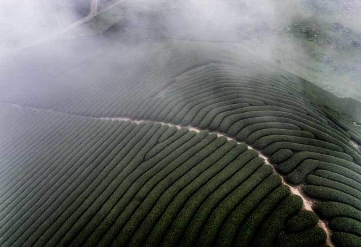 Việt Nam đẹp nghẹt thở qua ống kính nhiếp ảnh gia Mỹ-5