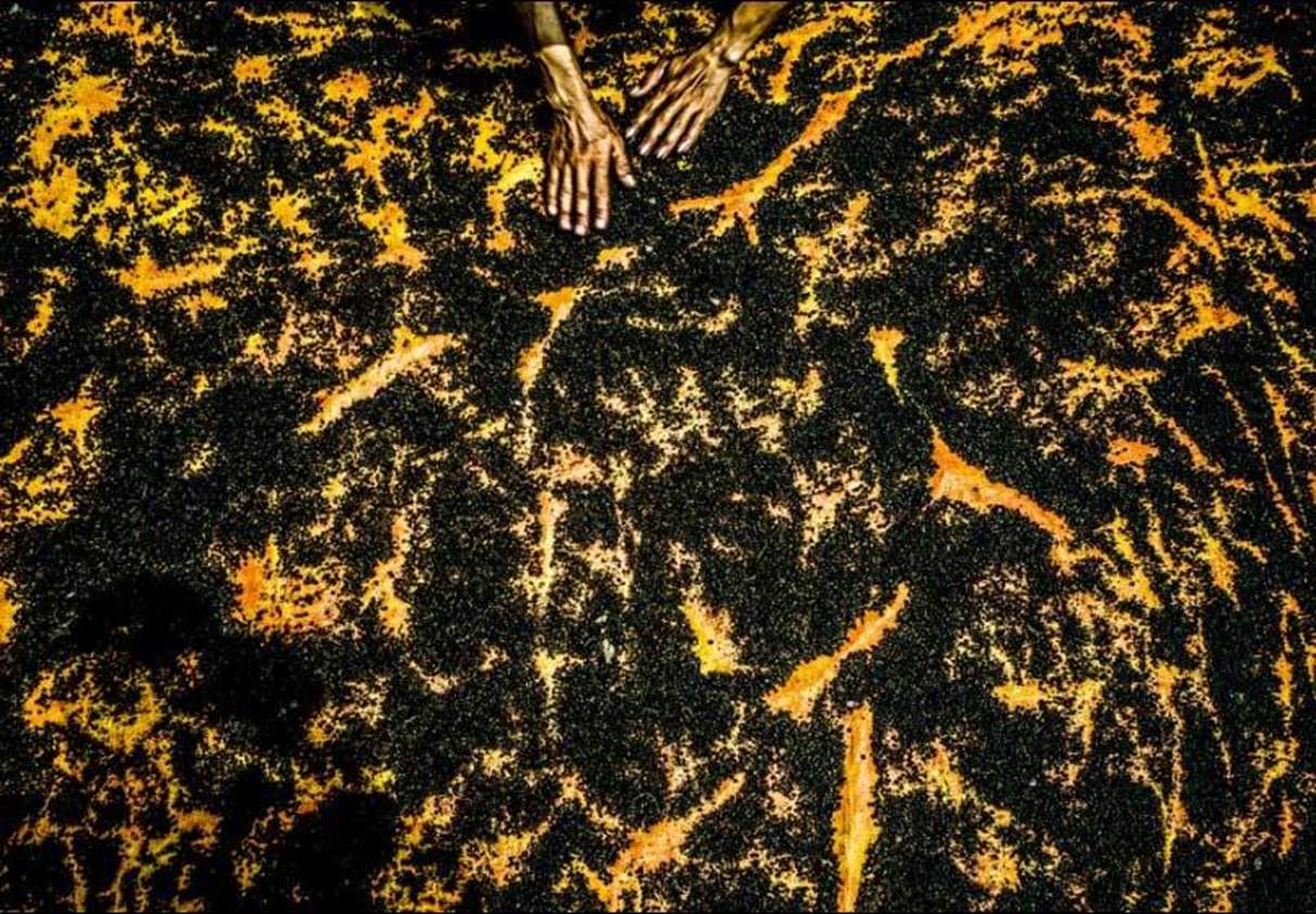 Việt Nam đẹp nghẹt thở qua ống kính nhiếp ảnh gia Mỹ-9