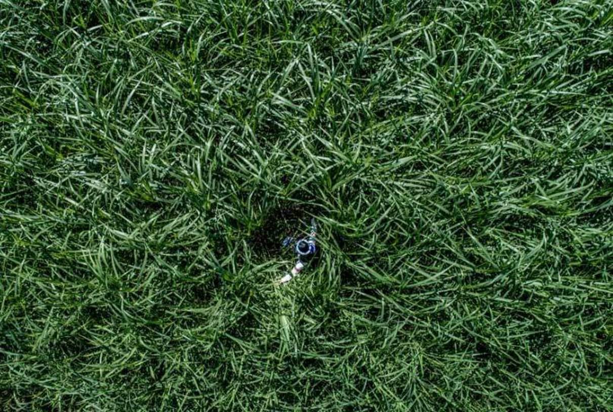 Việt Nam đẹp nghẹt thở qua ống kính nhiếp ảnh gia Mỹ-8