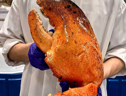 Tôm hùm Mỹ bay nửa vòng trái đất về Việt Nam được bán rẻ như gà, vịt-6