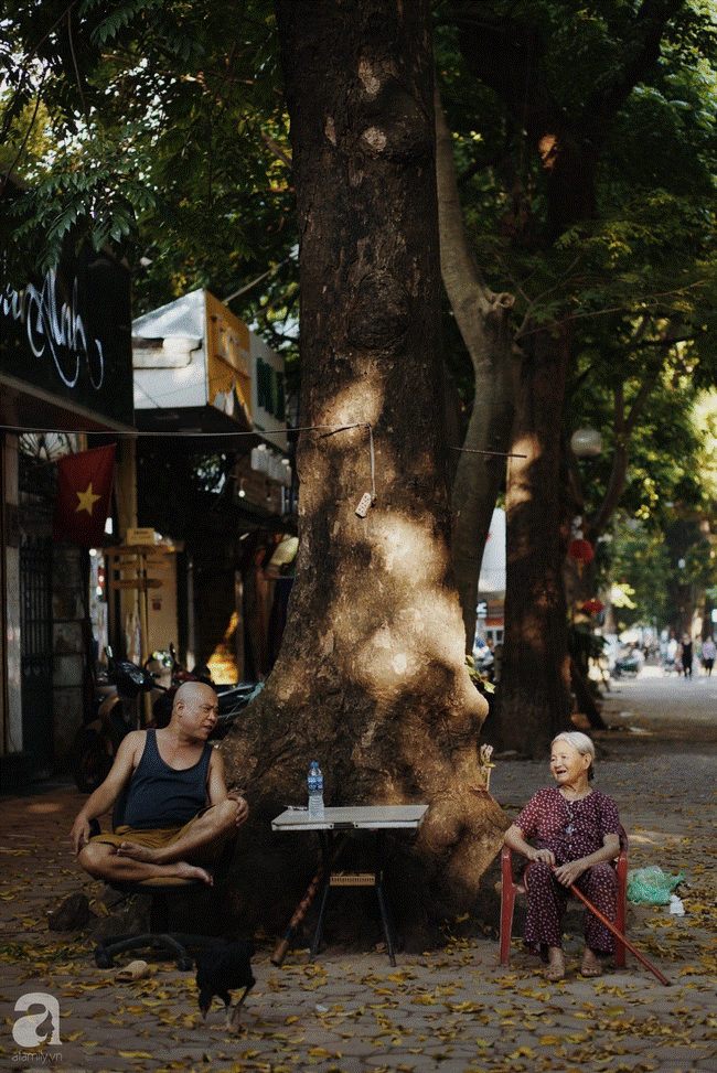 Hà Nội những hôm rét nàng Bân, bỗng bâng khuâng thèm những ngày hanh hao đầy nắng ấm-4
