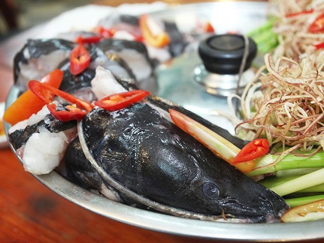 5 loài cá cực hiếm được ví là ngũ quý hà thủy, có tiền cũng khó mua-3