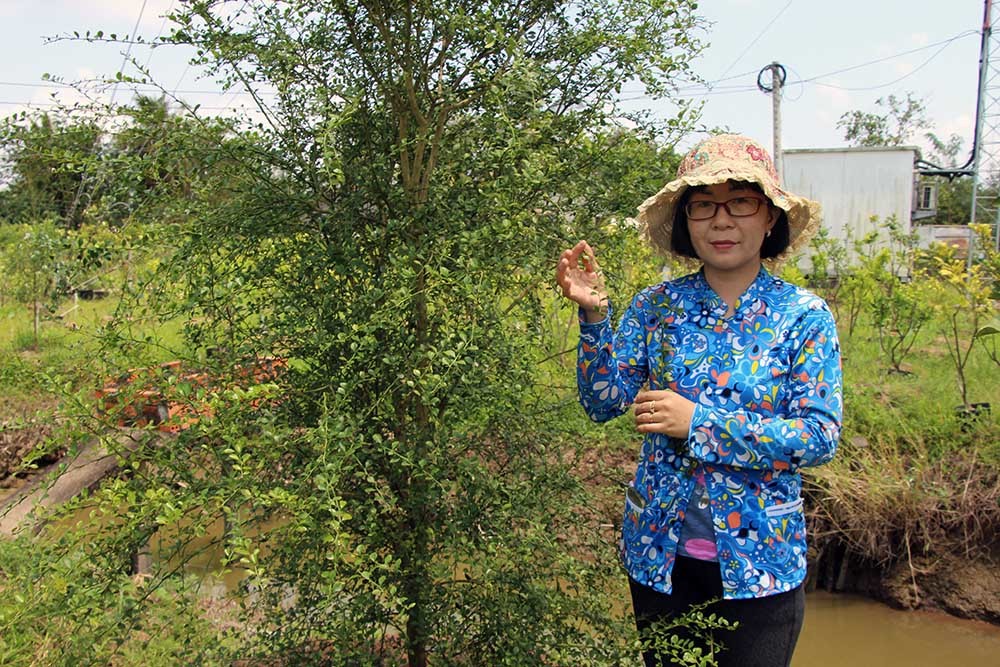 Quả chanh tý hon chứa cả ngàn hạt trứng cá long lanh, giá đắt gấp 100 lần-6