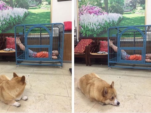 Cậu bé hồn nhiên