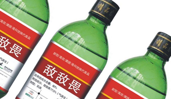 Tai nạn hy hữu: Người đàn ông suýt mất mạng, bị bác sĩ cạo sạch đầu chỉ vì nhầm lẫn nhiều người dễ mắc phải trong lúc tắm gội-2