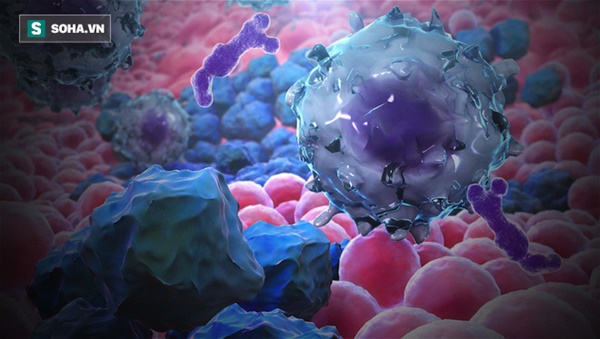 Những người không dễ bị ung thư đều có 4 điểm chung: Hãy xem bạn có thuộc nhóm này không?-1