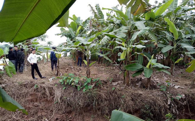 Phát hiện 3 thi thể nam giới nổi trên sông Hoá-1