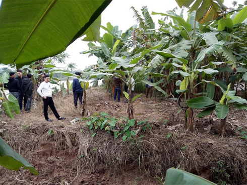 Chó điên” lao vào cắn 5 người rồi lăn đùng ra chết-2