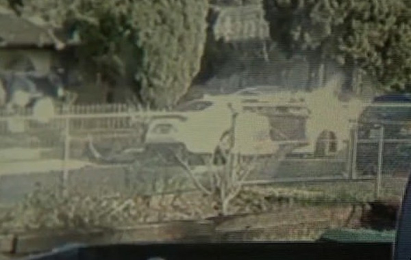 Rúng động vụ cướp đâm giáo viên gốc Việt đang mang thai tới 10 nhát-1