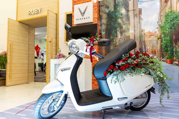 Khai mạc Triển lãm hoa quốc tế Việt Nam 2019-3