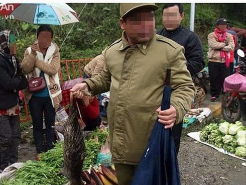Thực hư câu chuyện khách du lịch 