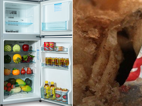 Tiền điện tăng chóng mặt, xem ngay chỗ này trên tủ lạnh để đỡ mất tiền oan-4