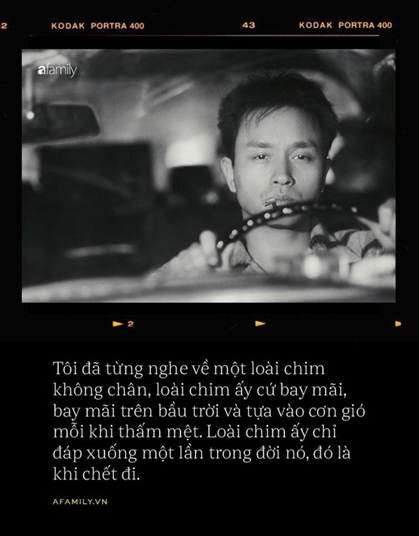 16 năm ngày mất Trương Quốc Vinh: Chuyện về một loài chim không chân, chỉ đáp xuống đất một lần khi chết-13