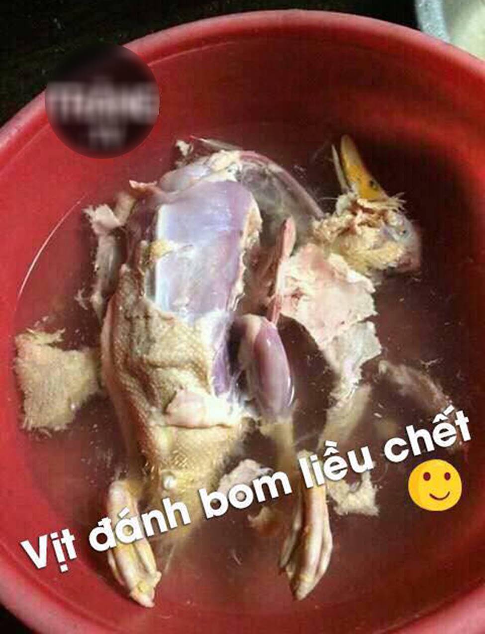 Ngày đầu về làm dâu gây thảm họa khiến cả nhà chồng phải sững sỡ-13