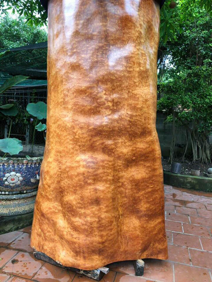 Bí ẩn khúc gỗ dài 3 mét, đại gia Hải Phòng trả giá gần 4 tỷ-3