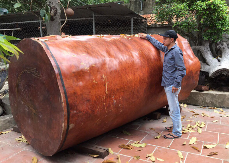 Bí ẩn khúc gỗ dài 3 mét, đại gia Hải Phòng trả giá gần 4 tỷ-4