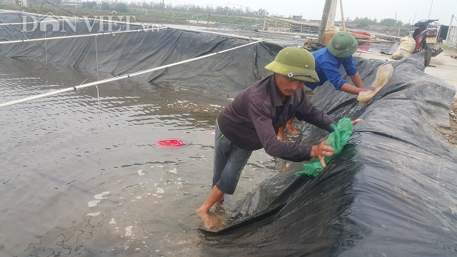 Nghề lạ ở Ninh Bình: Cân cát lấy tiền, cứ 1 kg bán hơn 1 triệu đồng-2