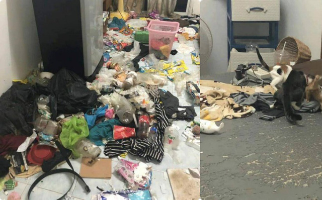 Cô gái bùng tiền nhà trọ, chủ nhà mở cửa phòng thì hoảng hốt vì khung cảnh trước mặt-1