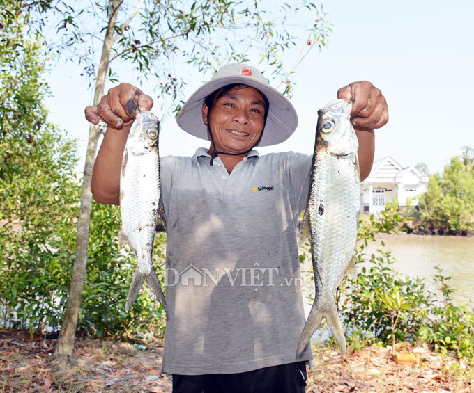 Cây bí ẩn, thả xuống nước hàng trăm kg cá trúng thuốc tha hồ vớt-5