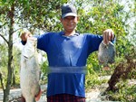 Chuyện lạ Vĩnh Long: Chen chân mua cá trời cho lấm lem bùn đất-3