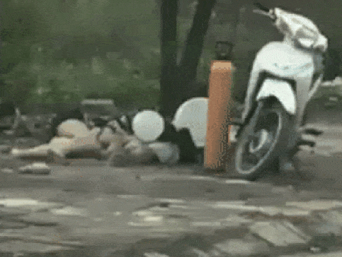 Clip: Đôi nam nữ vô tư dựng xe máy, nằm vạ vật hút