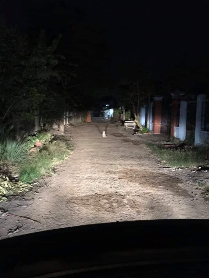 Lái xe đi đêm gặp em bé khóc giữa đường, cộng đồng mạng đồng loạt can ngăn: Đừng giúp!-2