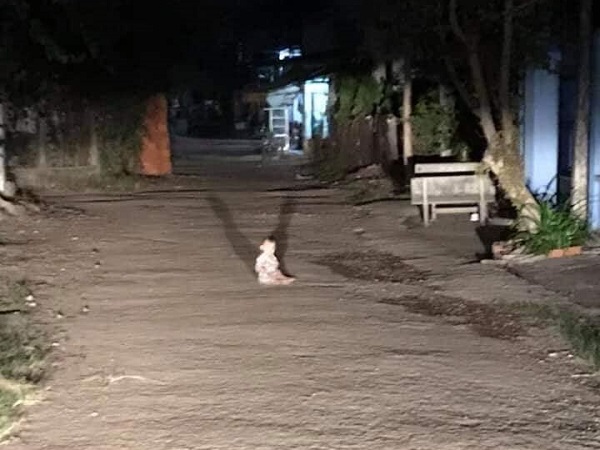 Lái xe đi đêm gặp em bé khóc giữa đường, cộng đồng mạng đồng loạt can ngăn: Đừng giúp!-3