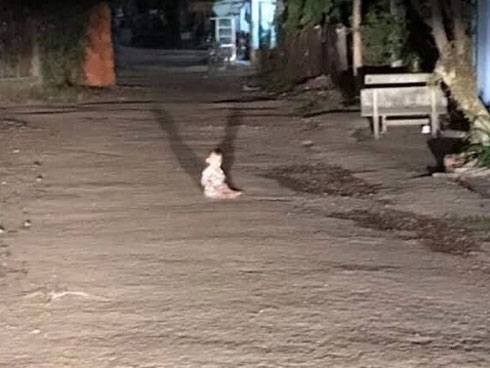 Bức ảnh sáng nhất MXH dịp nghỉ lễ: Em bé sơ sinh cười đến toét miệng híp mắt, ai xem xong cũng thấy vui lây-3